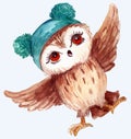 ÃÂ¡artoon owl. Cool Owl bird. Watercolor picture.